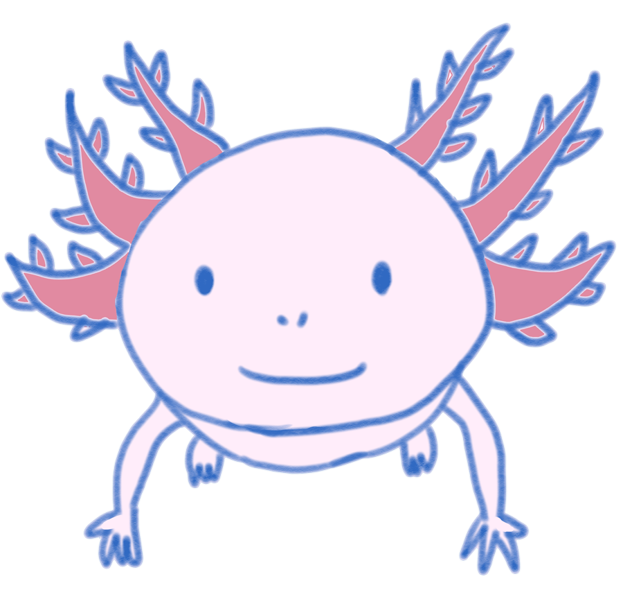 ウーパールーパー イラスト かわいい詳細 9位