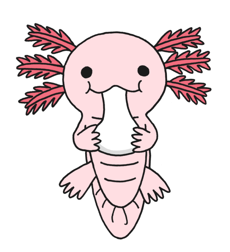 ウーパールーパー イラスト かわいい詳細 3位