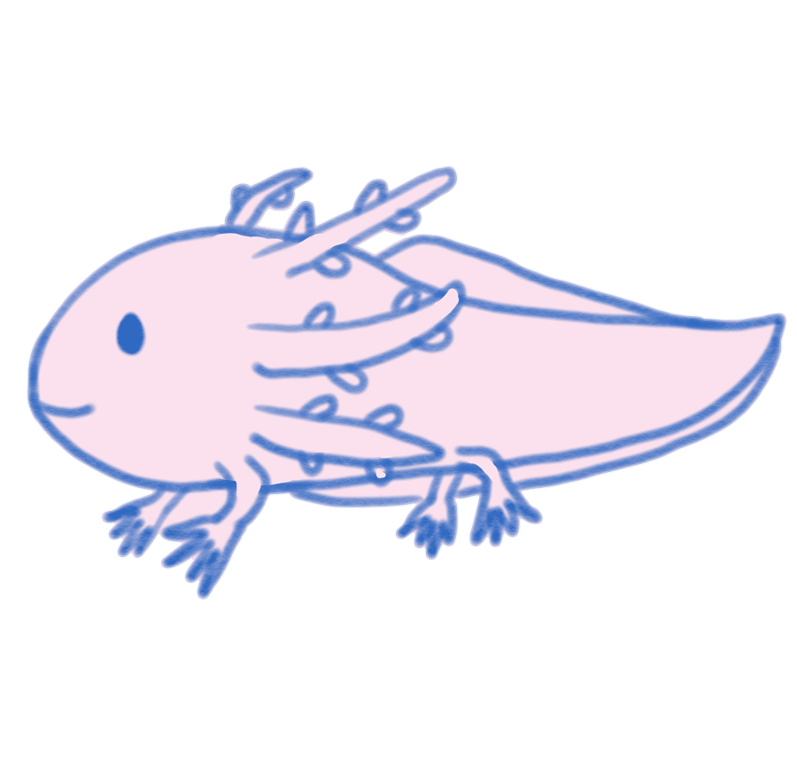 ウーパールーパー イラスト かわいい詳細 5位
