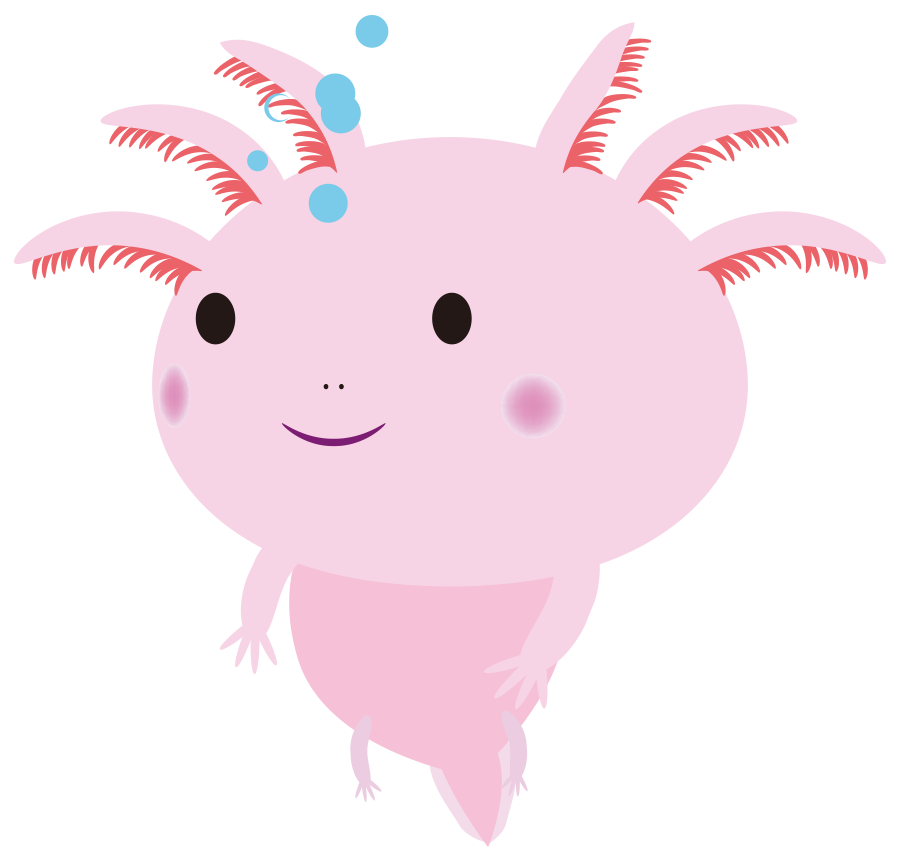 ウーパールーパー イラスト かわいい詳細 7位