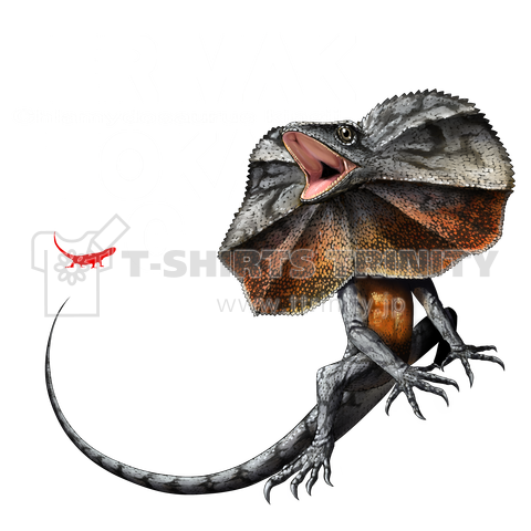エリマキトカゲ イラスト詳細 8位