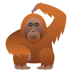 オランウータン イラスト詳細 13位