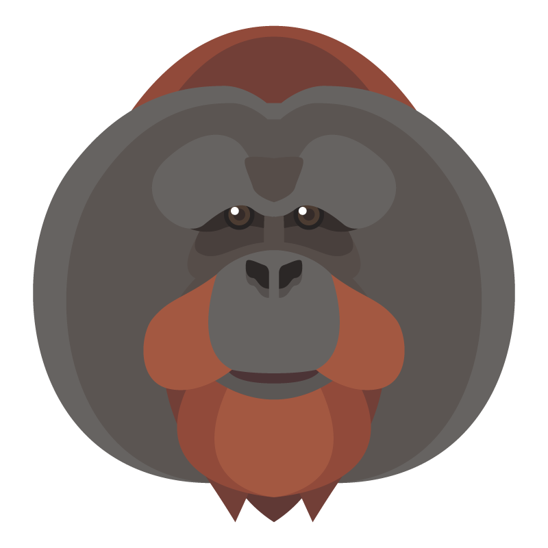 オランウータン イラスト詳細 3位