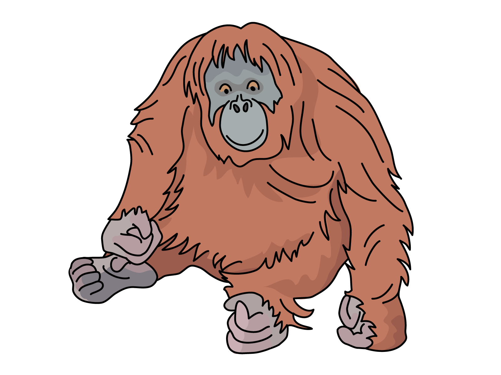 オランウータン イラスト詳細 6位