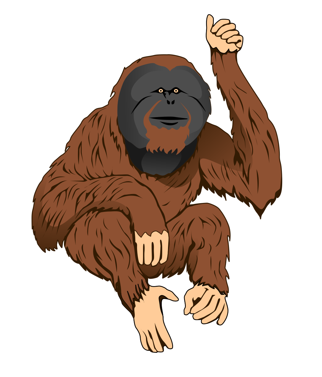 オランウータン イラスト詳細 7位