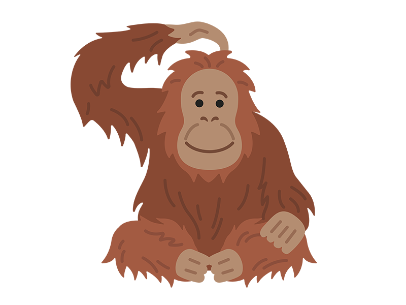 オランウータン イラスト詳細 8位