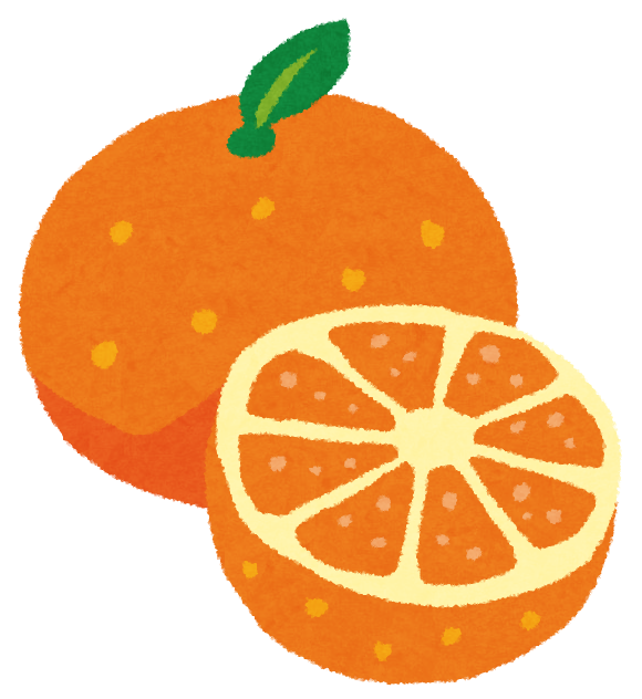 オレンジ の もの イラスト - KibrisPDR