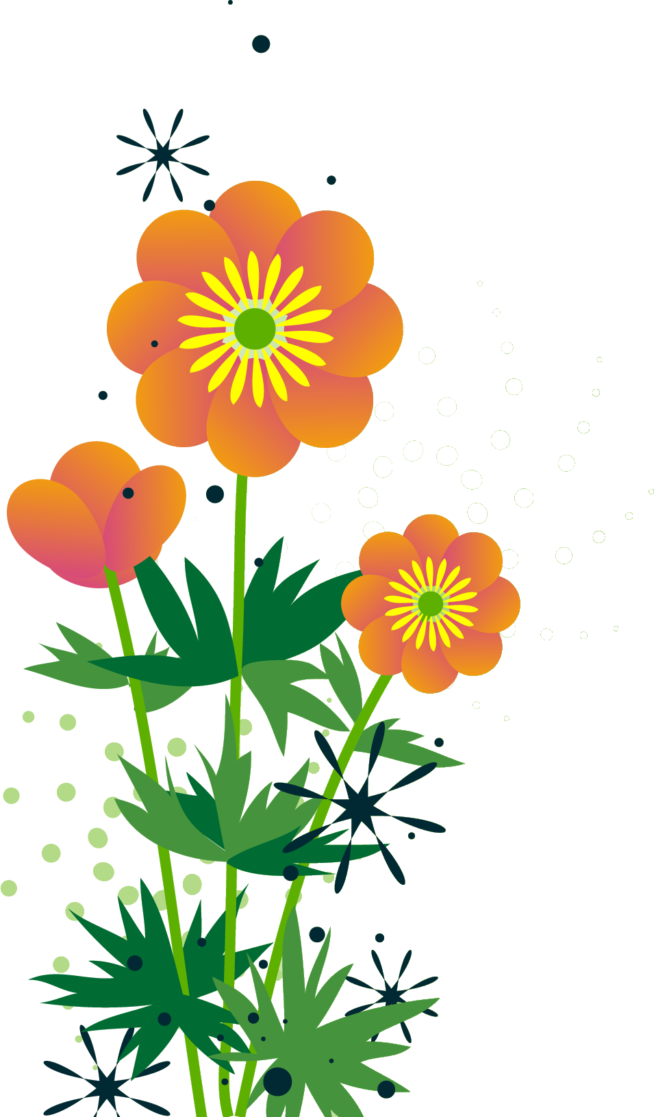 オレンジ 花 イラスト詳細 2位