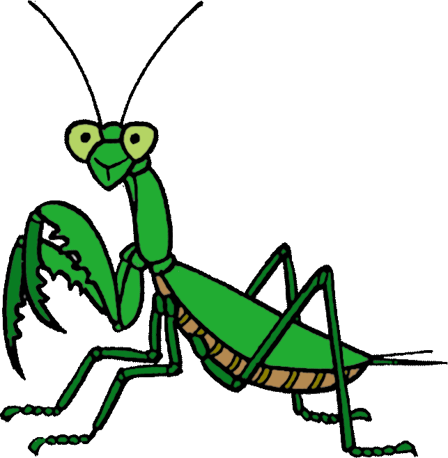 カマキリ の 絵詳細 8位