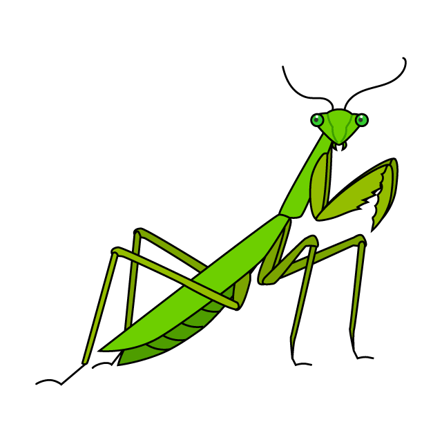 カマキリ イラスト リアル - KibrisPDR