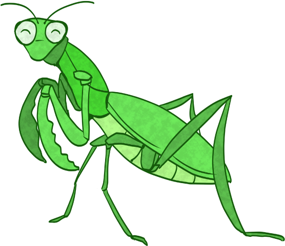 カマキリ イラスト リアル詳細 2位