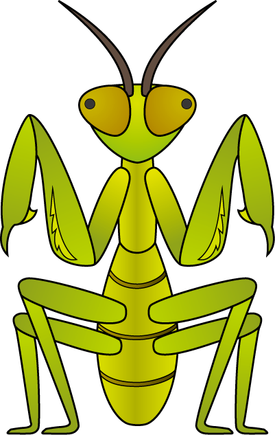 カマキリ イラスト リアル詳細 10位