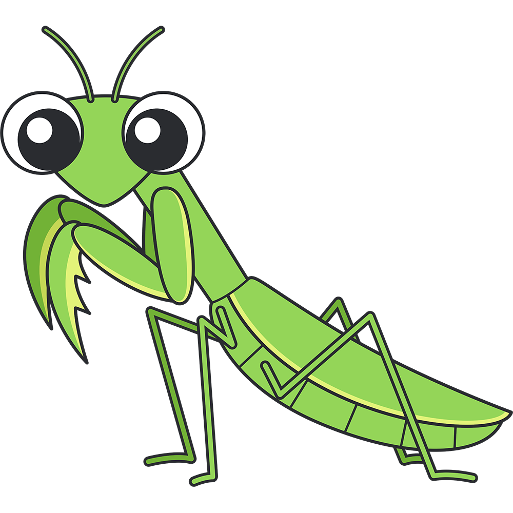 カマキリ イラスト リアル詳細 8位