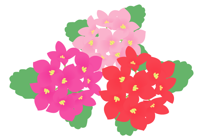 カランコエ イラスト - KibrisPDR