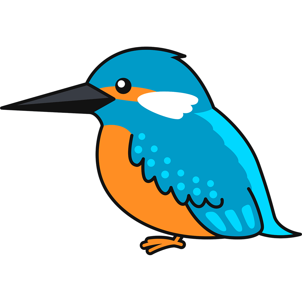 カワセミ イラスト - KibrisPDR