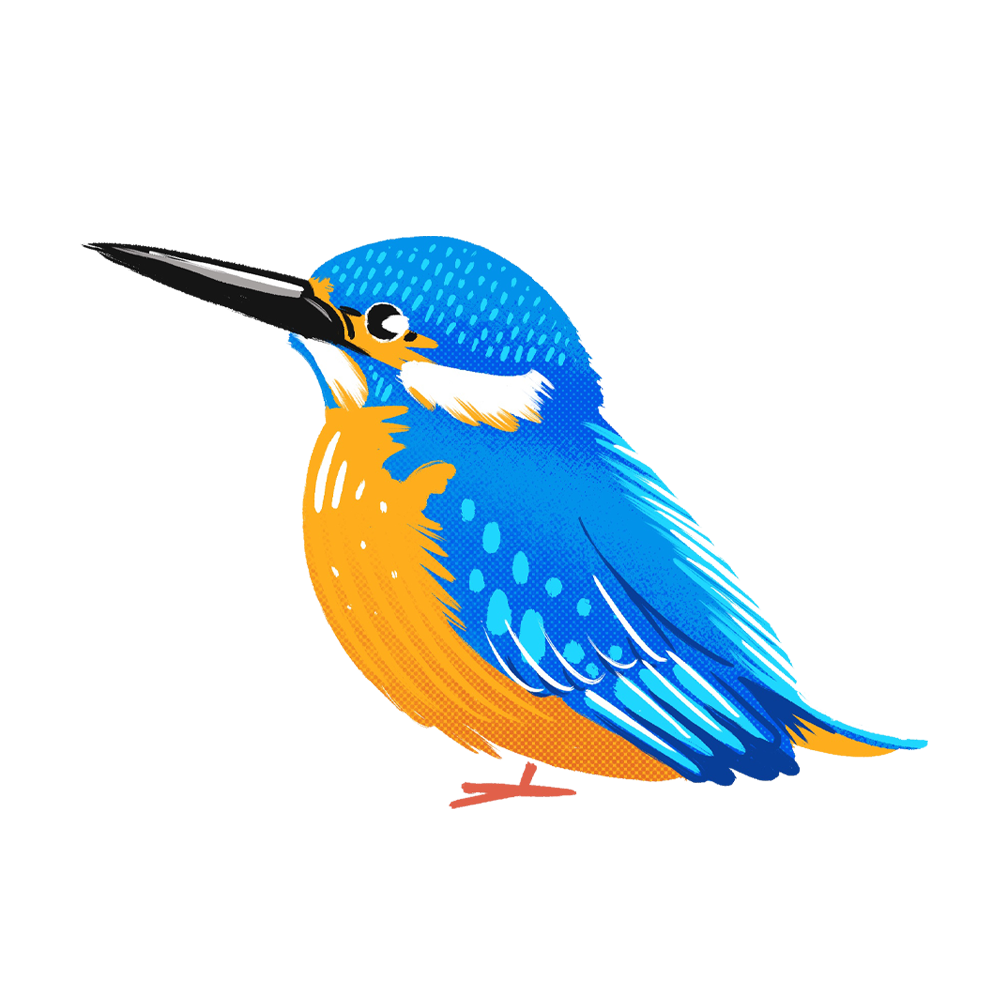 カワセミ イラスト詳細 3位