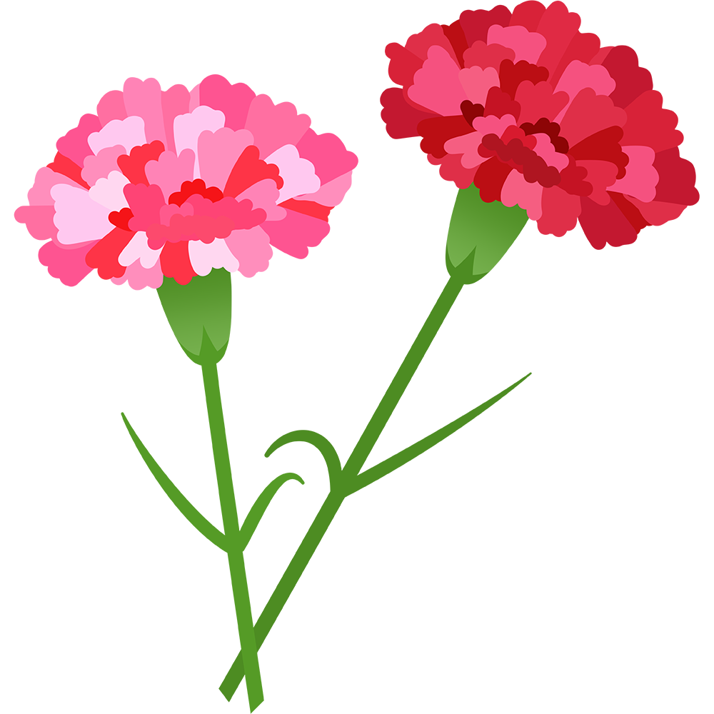 カーネーション イラスト 無料 - KibrisPDR