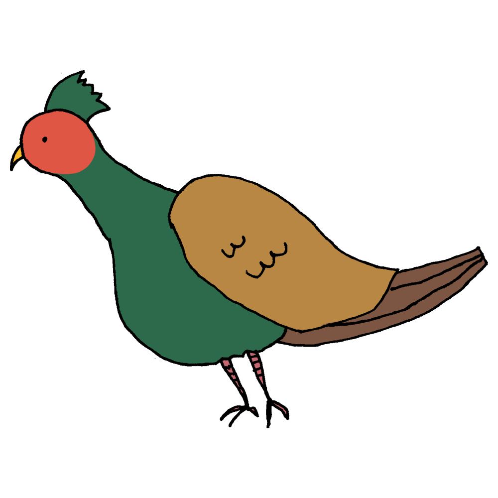 ガン 鳥 イラスト詳細 8位