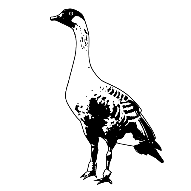 ガン 鳥 イラスト詳細 3位