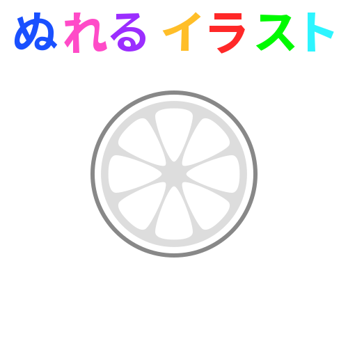 キウイ 断面 イラスト詳細 11位