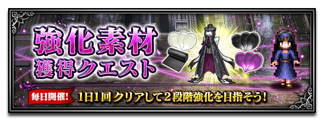 クレオメ 画像詳細 11位