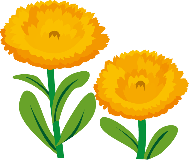 ケシ の 花 イラスト詳細 9位