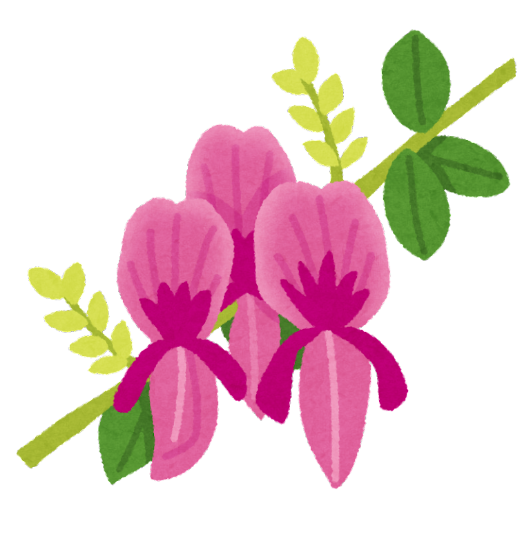 ケシ の 花 イラスト詳細 10位