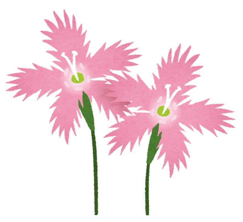 ケシ の 花 イラスト詳細 12位