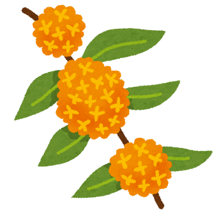 ケシ の 花 イラスト詳細 4位