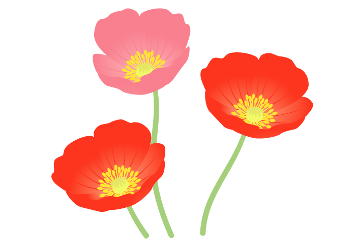 ケシ の 花 イラスト詳細 6位