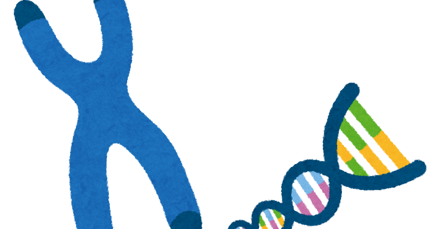 ゲノム イラスト詳細 4位