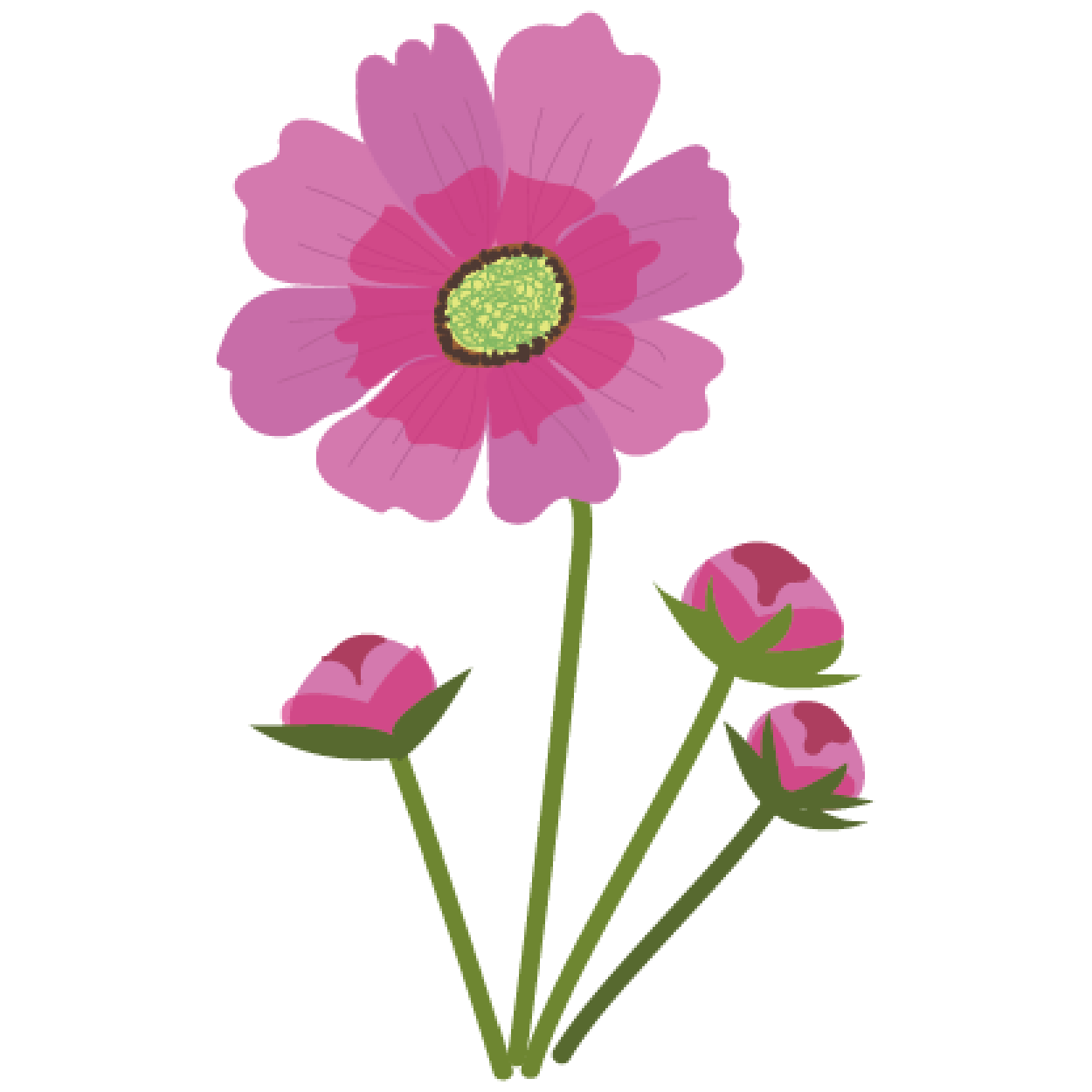 コスモス の 花 イラスト - KibrisPDR