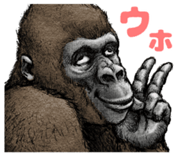 ゴリラ タトゥー詳細 9位