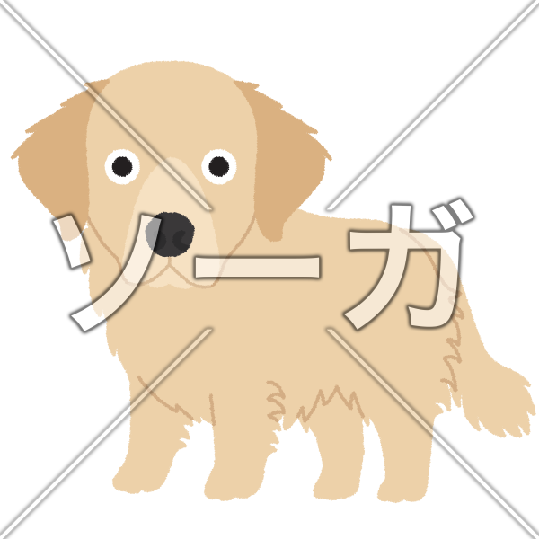ゴールデン レトリバー イラスト詳細 8位