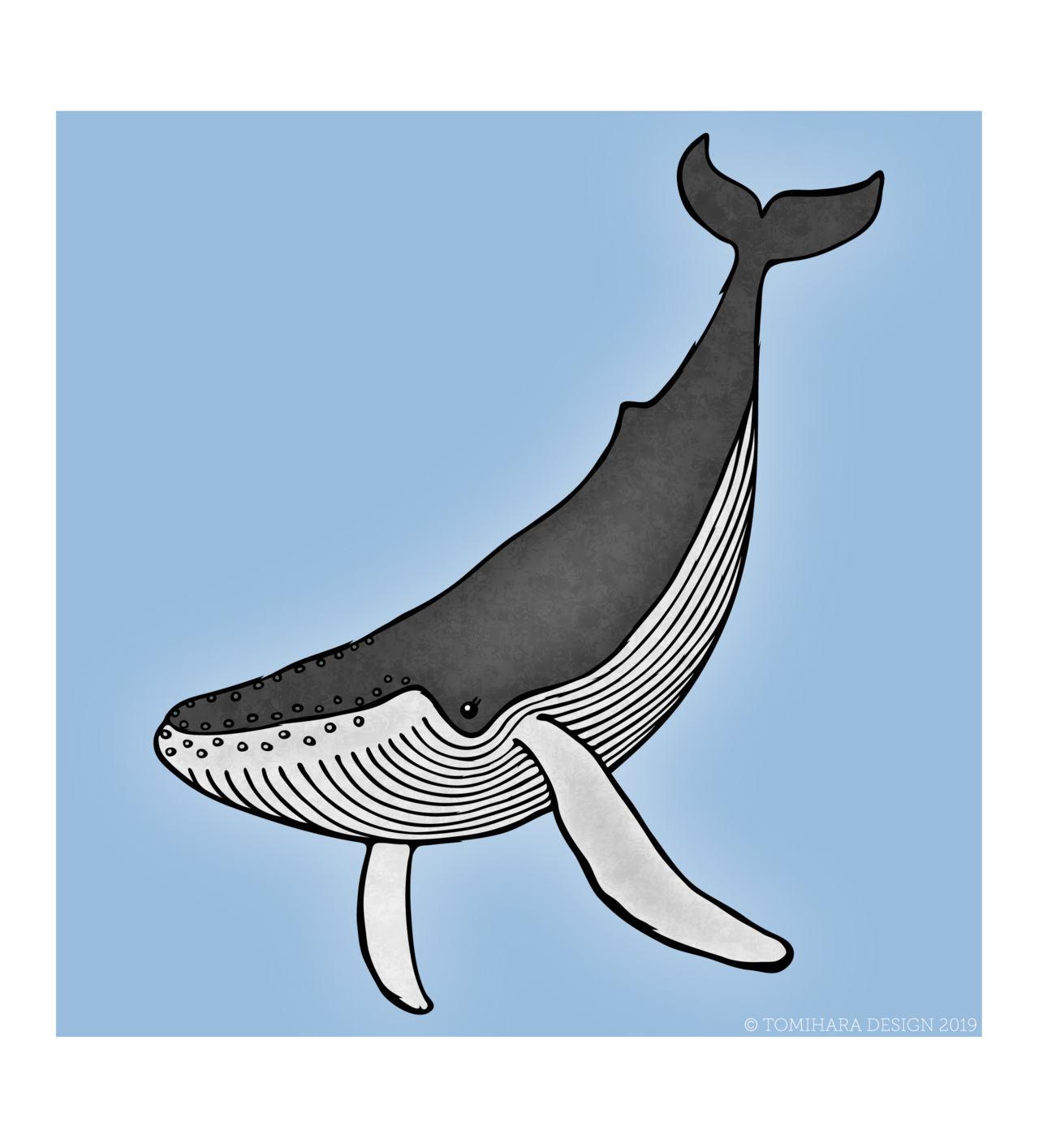 ザトウクジラ イラスト詳細 2位