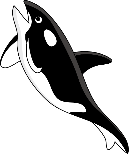 シャチ イラスト詳細 5位