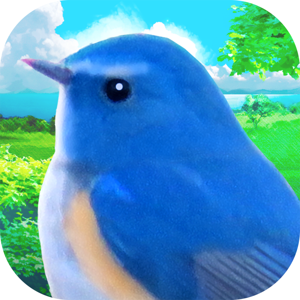 ジャングル 鳥詳細 9位