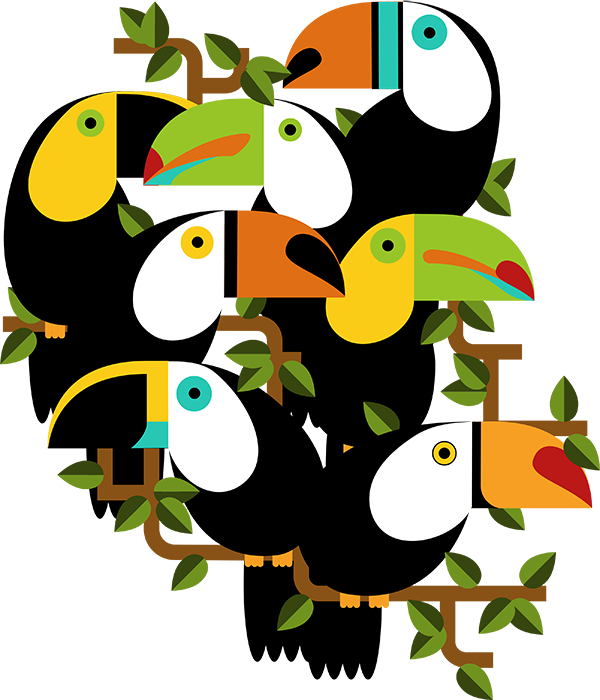 ジャングル 鳥詳細 2位