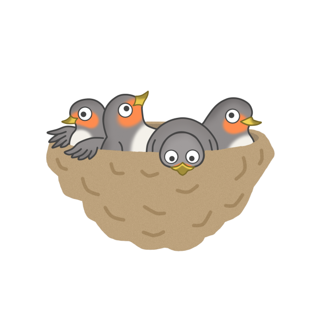 ツバメ の 巣 イラスト詳細 4位