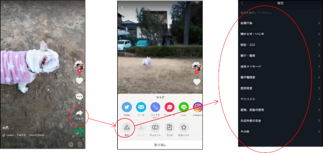 ティック トック 画面詳細 11位
