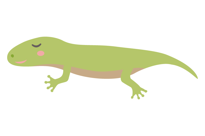 トカゲ イラスト かわいい詳細 6位