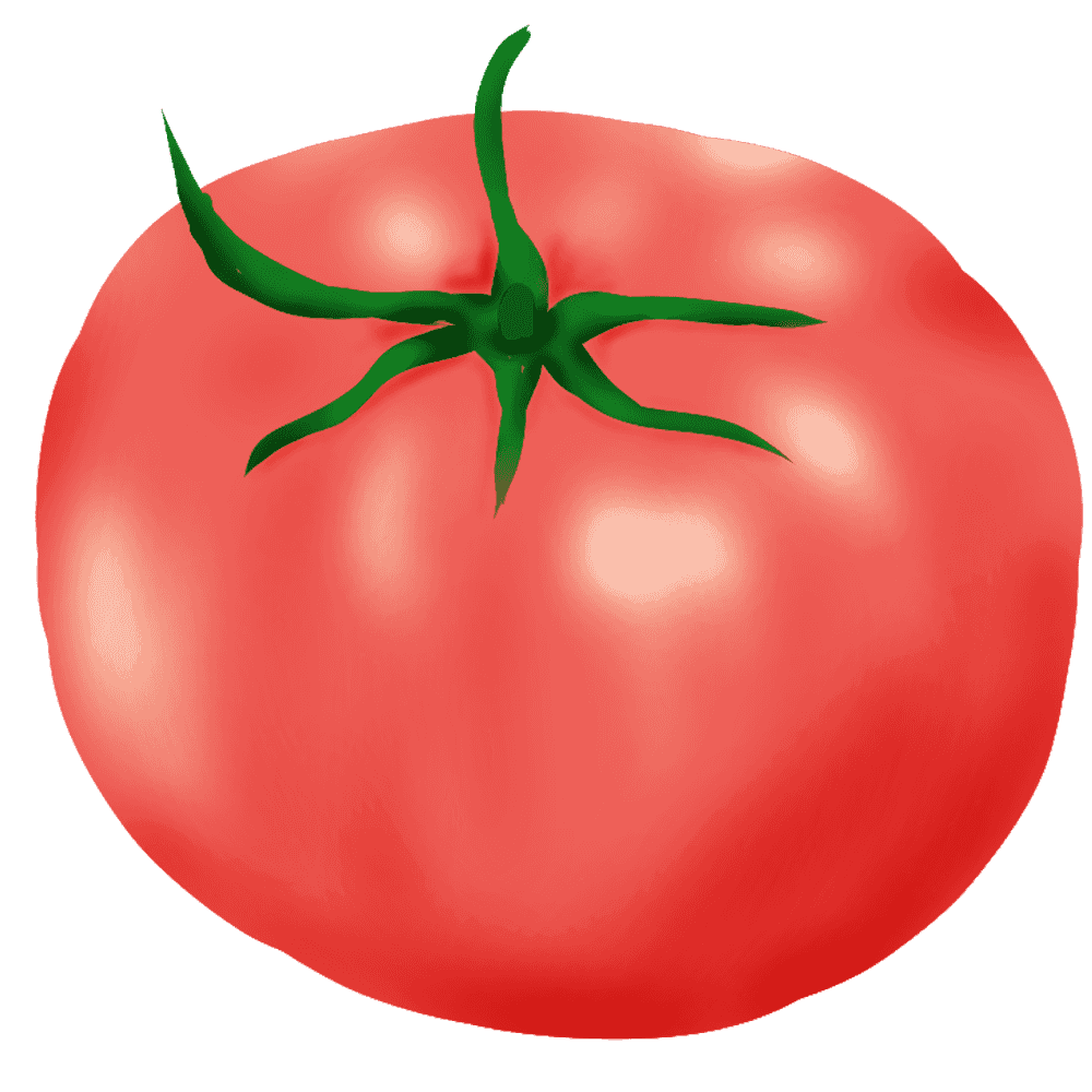 トマト の イラスト - KibrisPDR