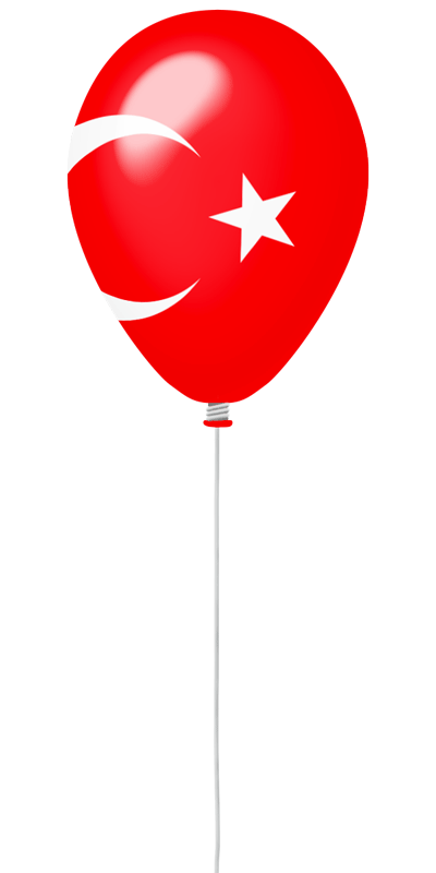 トルコ イラスト詳細 4位