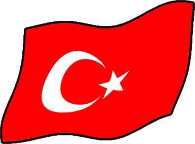 トルコ イラスト詳細 6位