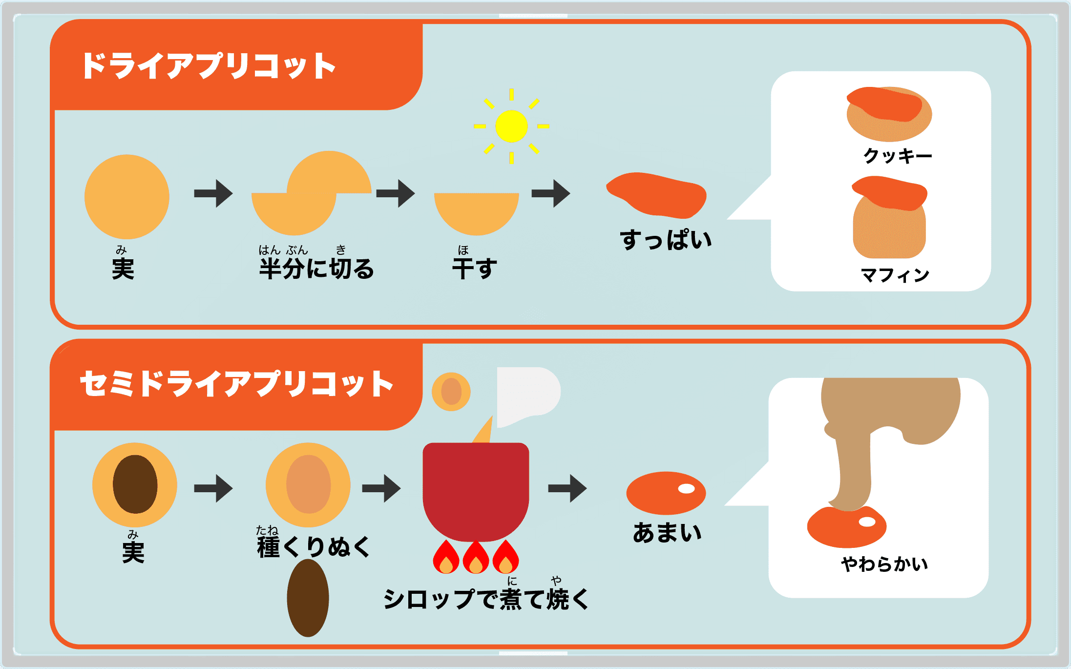 ドライ フルーツ イラスト詳細 12位