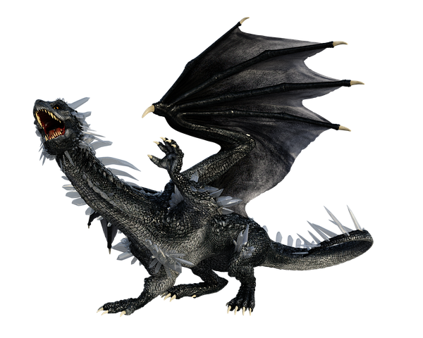 ドラゴン 画像詳細 12位