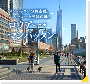 ニューヨーク 画像詳細 6位