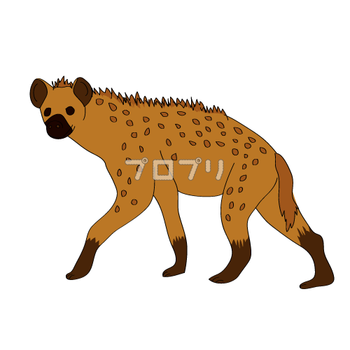 ハイエナ イラスト詳細 11位