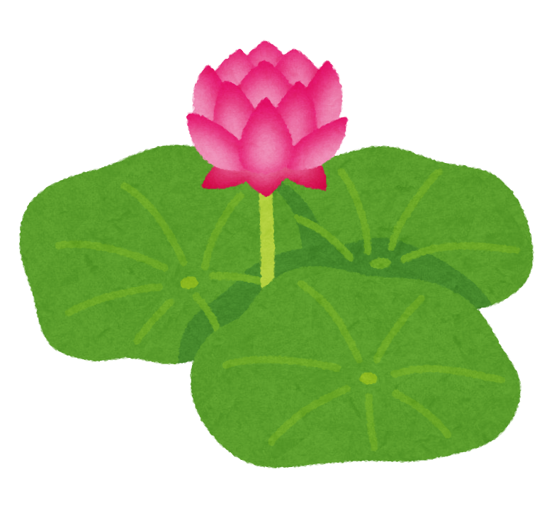 ハス の 花 イラスト - KibrisPDR