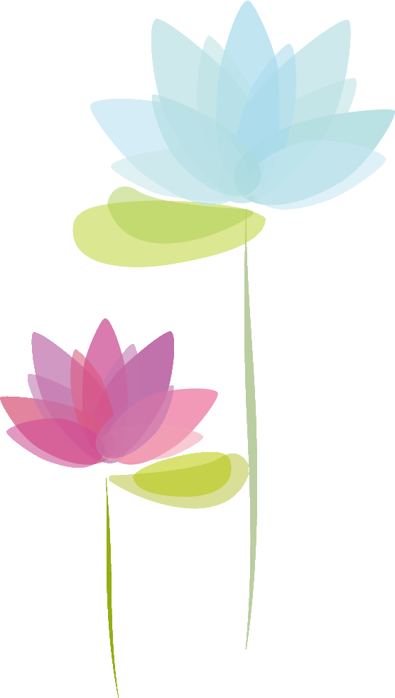 ハス の 花 イラスト詳細 2位